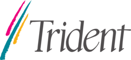 Logo for Trident Microsystems