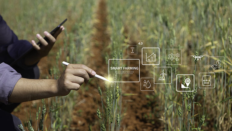 person using tablet computer in field
