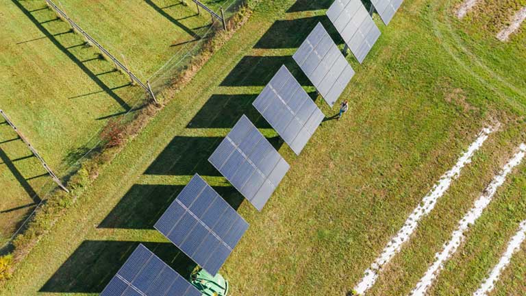 farm utilizing solar panels