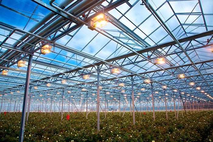 modern greenhouse modern greenhouse