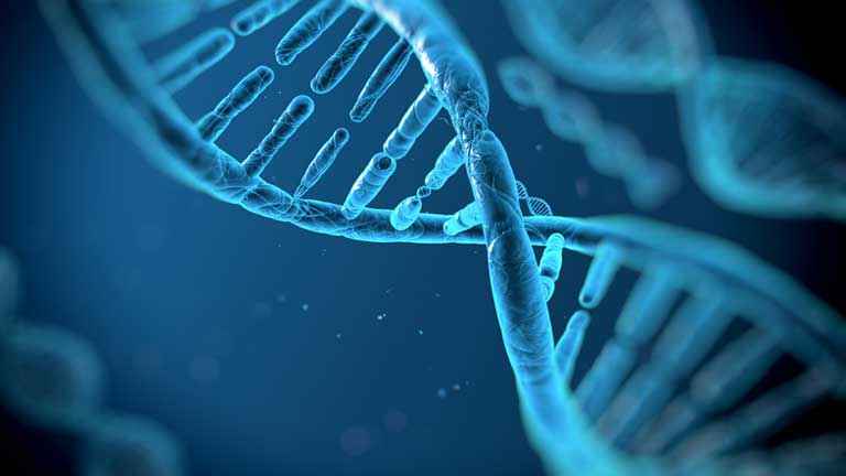 DNA strands