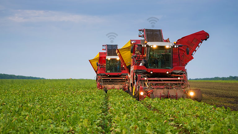 two combines in field