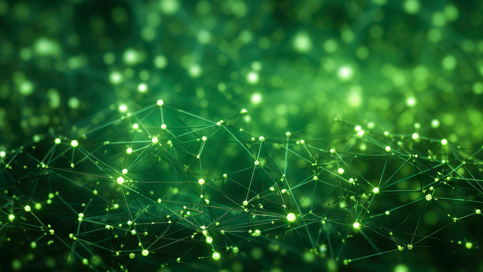AI Network