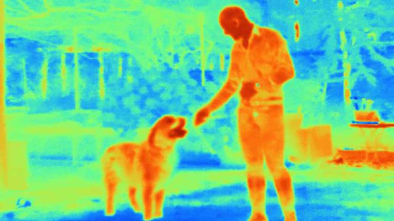 Nature’s sensors