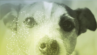 Artificial neuronal networks are playing a big role